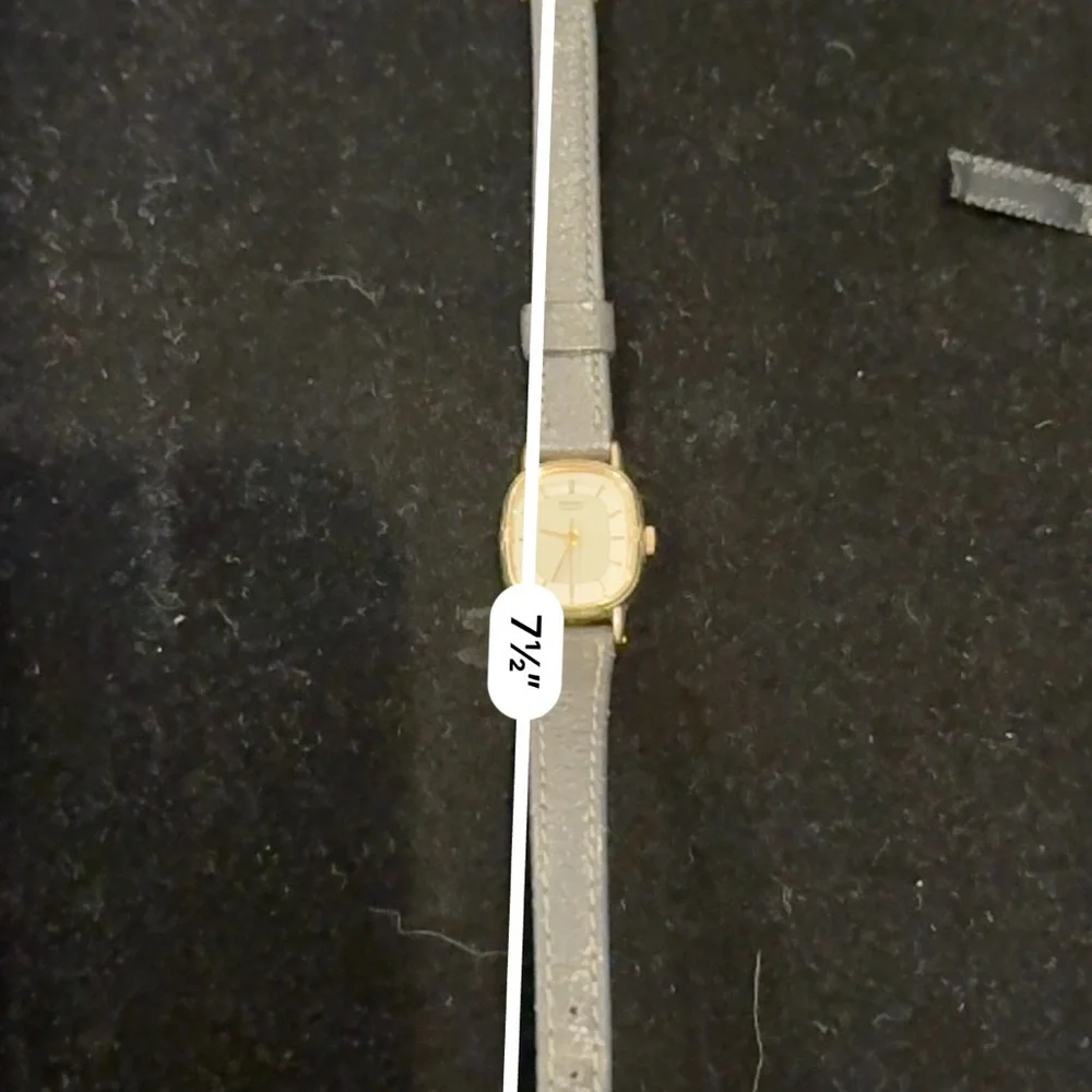 Seiko Gold-Tone Case Silver Dial Watch with Gray Strap